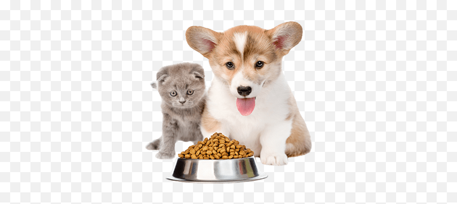 Pet Food - Cat And Dog Food Png,Dog Food Png