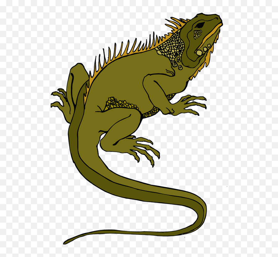 Horned Lizard Png Transparent - Marine Iguana Clip Art,Lizard Transparent