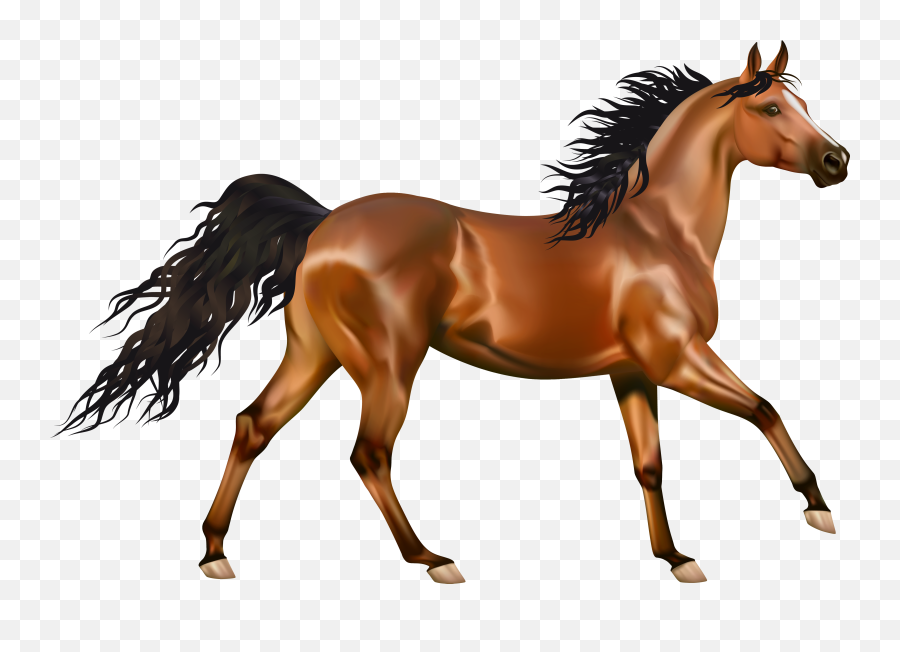 Free Horse Cliparts Transparent - Horse Png,Horse Running Png