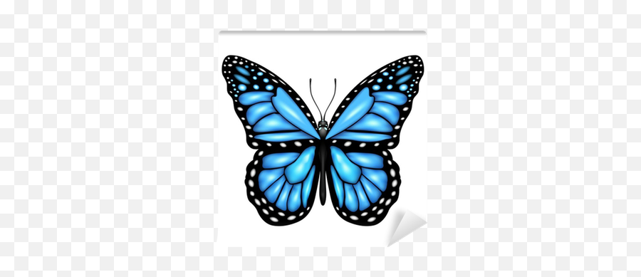 Blue Butterfly Wall Mural U2022 Pixers - We Live To Change Blue Butterfly On White Background Png,Blue Butterflies Png