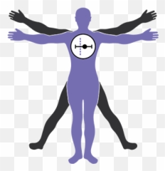Stem Cells Translational Medicine - Wellington Rehabilitation And Healthcare png