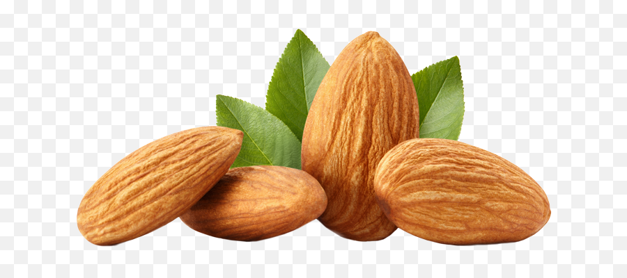 Dried Fruits And Nuts - Almond Png,Almonds Png