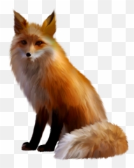 Cat German Spitz Fox Gray Wolf Ear - Fox Transparent Png,Fox Png