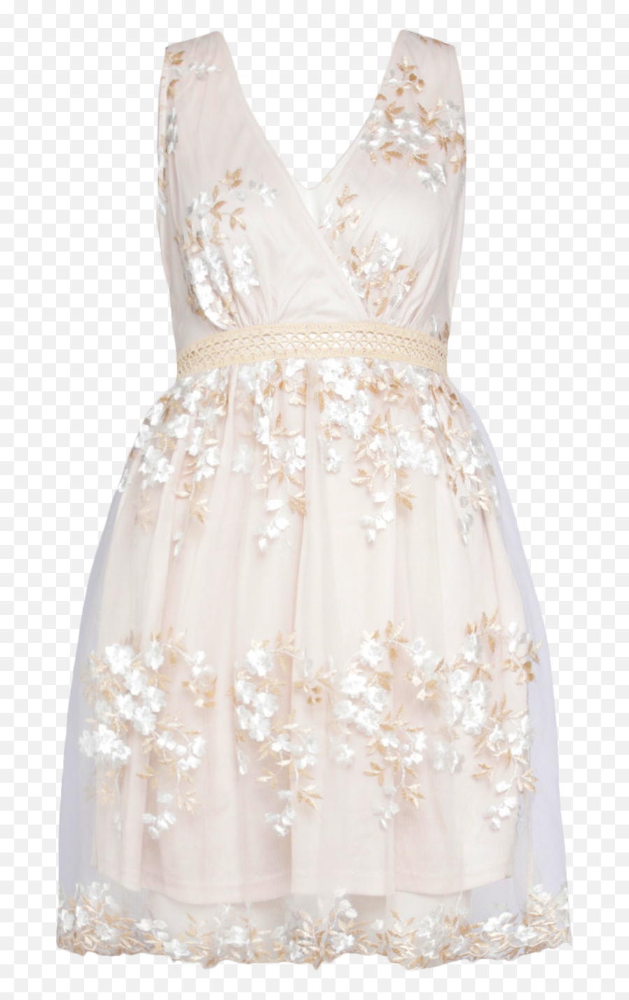 Womenu0027s Boohoo Occasion Floral Embroidery Wrap Skater Dress - Sleeveless Png,Cream Icon Dress