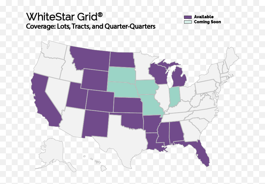 Whitestar Grid - United States In Lockdown Png,White Star Transparent Background