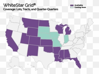 Whitestar Grid - United States In Lockdown Png,White Star Transparent Background