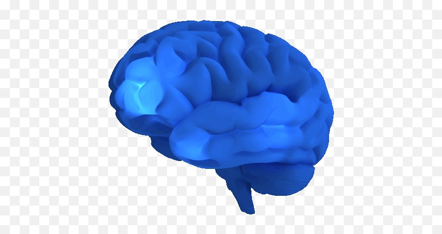 Brain - The Healing Pool Magazine Keynote 3d Animation Png,Brain Transparent Background