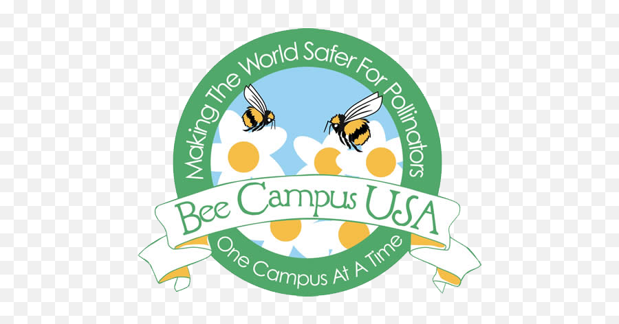 California Native Bees - Bee Campus Usa Png,Bumblebee Logo