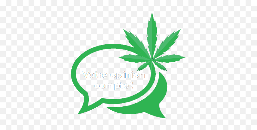Index Of Wp - Contentthemesmascoucheimagespopupmarijuana Difference Between Ganja And Alcohol Png,Marijuana Png