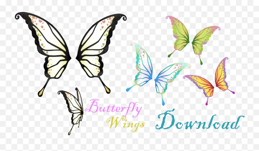 Download Hd Butterfly Clip Wing - Anime Butterfly Wings Png,Butterfly Wing Png