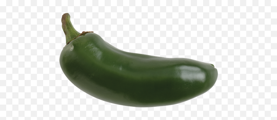 Download Jalapeno Pepper - Green Jalapeno Pepper Full Size Zucchini Png,Pepper Transparent