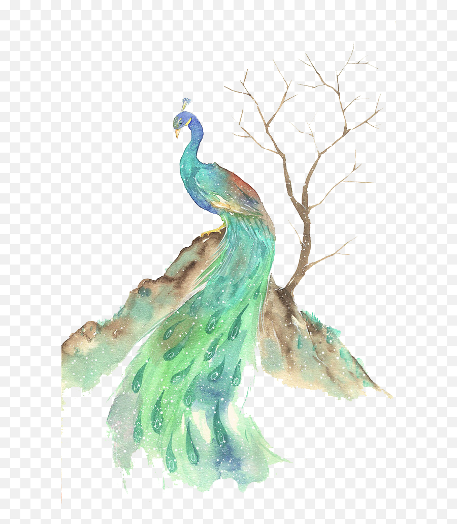 Download Bird Watercolor Painting Illustration - Watercolor Canvas Beautiful Peacock Painting Png,Peacock Png