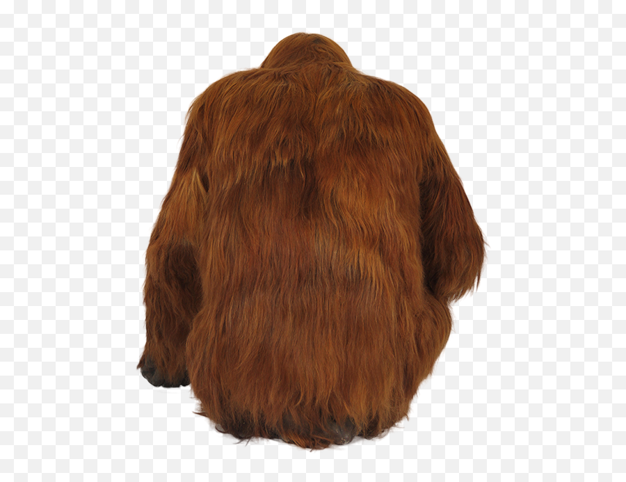Orangutan Transparent Png Image - Fur Clothing,Orangutan Png