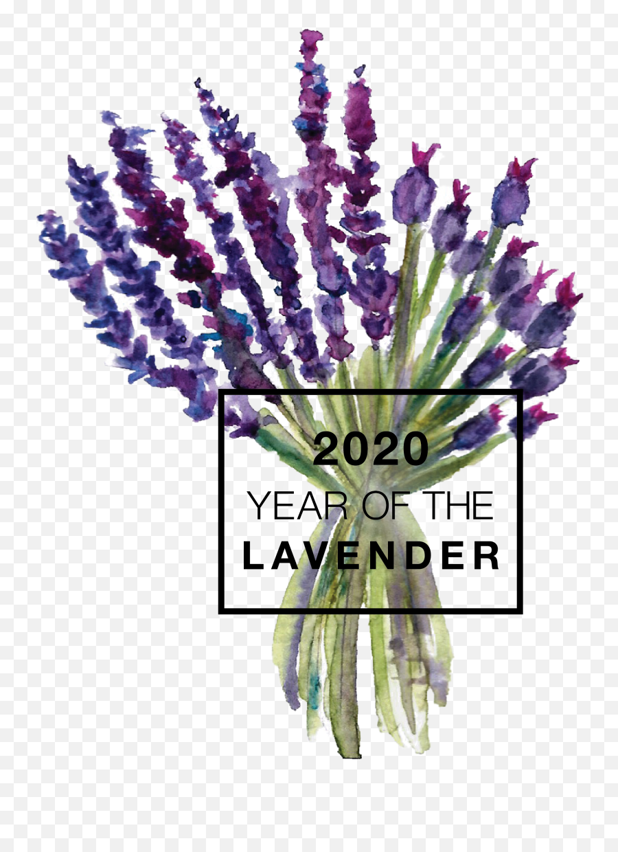 Year Of The Lavender - 2020 Year Of The Lavender Png,Lavender Png
