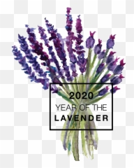 Year Of The Lavender - 2020 Year Of The Lavender Png,Lavender Png