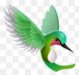 3d Animation Cartoons Of Doorways Lg Optimus - Hummingbird Cartoons png