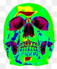 Top Skull Stickers For Android U0026 Ios Gfycat - Transparent Neon Skull Png,Sombra Skull Png