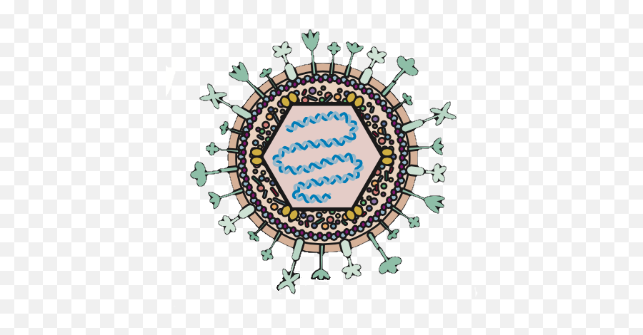 Herpes Simplex Virus And Alzheimeru0027s Disease - Herpes Simplex Virus Png,Virus Transparent