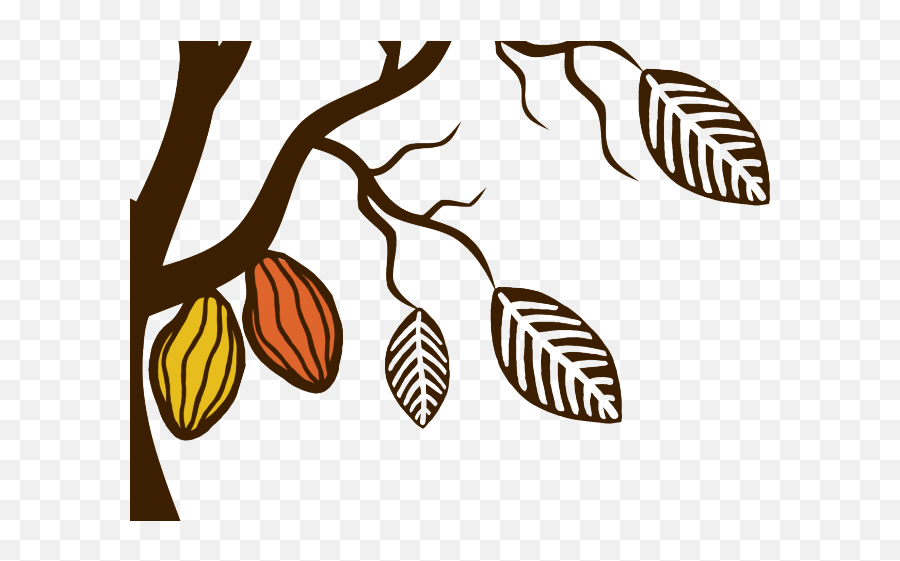 Library Of Cacao Tree Jpg Download Png Files - Cacao Tree Clipart,Cacao Png