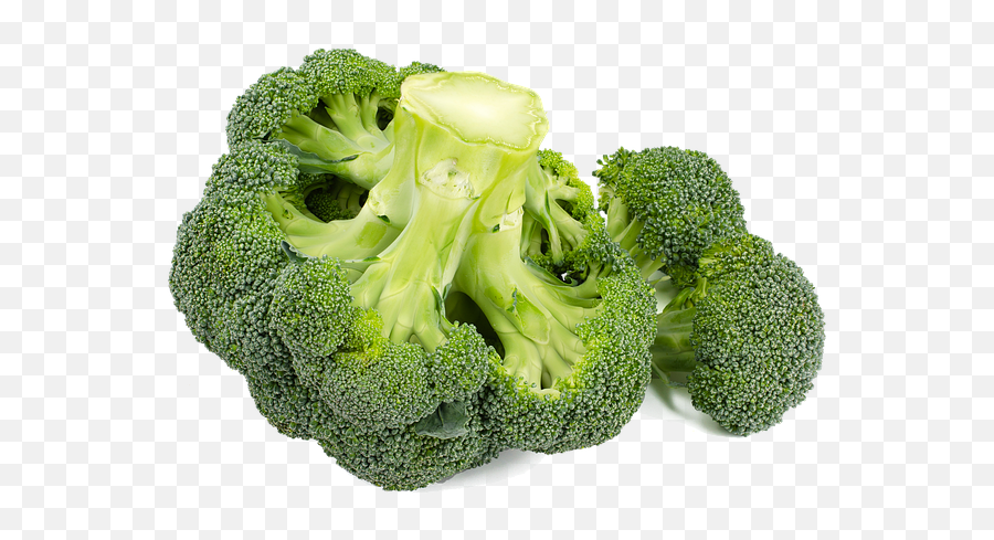 Brocoli Vert Légumes - Image Gratuite Sur Pixabay Broccoli Png,Brocoli Png