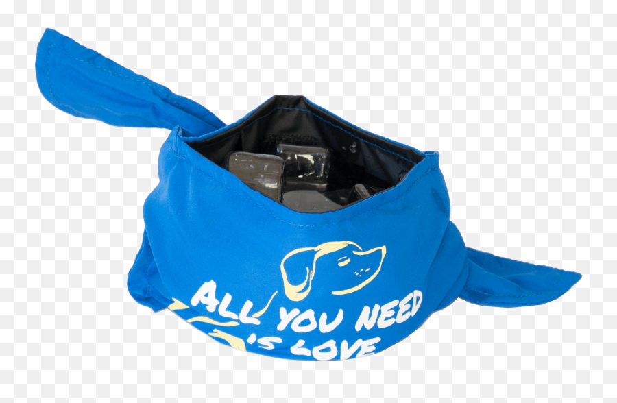 Bandana Bowl - Bandana Bowl Dog Bowl Png,Bandana Transparent