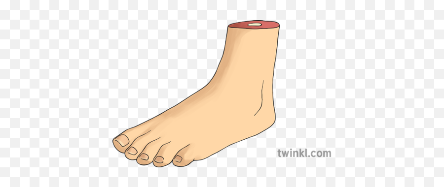 A Foot Illustration - For Women Png,Foot Png