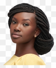 Long Pamoja Braid The Budget Friendly Styles Darling - Hair Styles Braids For Ladies Png,Hairstyle Png