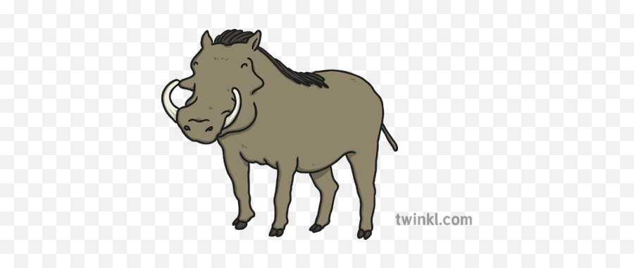 Warthog 1 Illustration - Animal Figure Png,Warthog Png