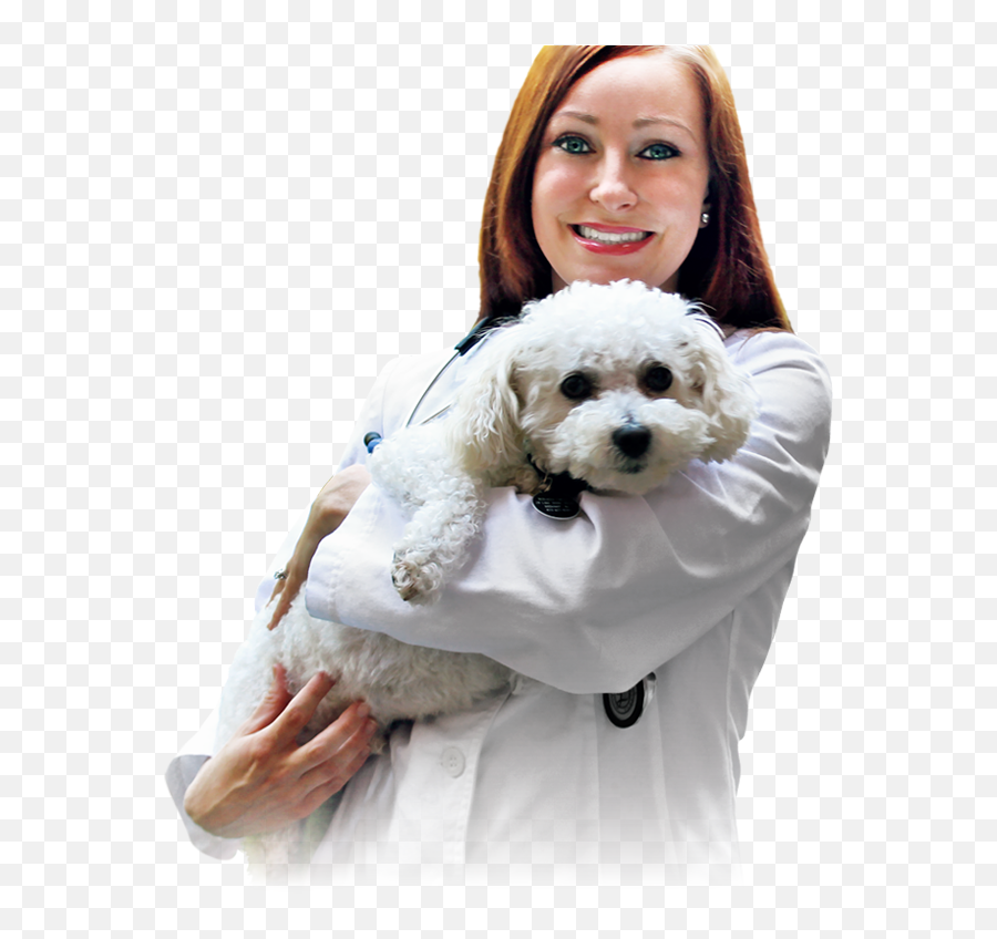 Download Veterinarian With A Canine Patient - Doctor With Doctor With Dog Png,Veterinarian Png