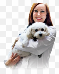 Download Veterinarian With A Canine Patient - Doctor With Doctor With Dog Png,Veterinarian Png