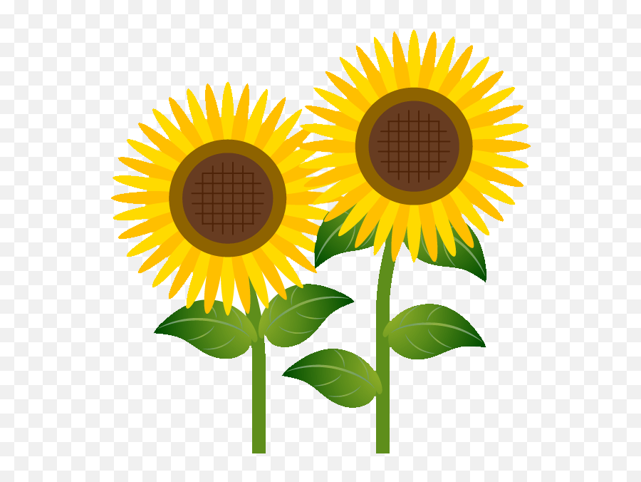 How To Download Flower Cliparts - Clipart Transparent Sunflower Clip Art Free Png,Clipart Transparent Background