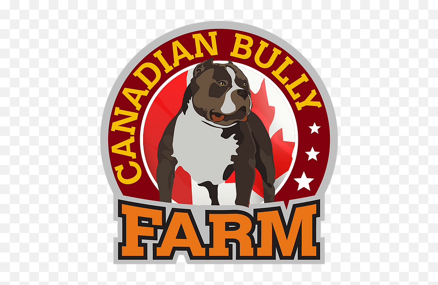 American Bully Breeder Canadian Farm New Brunswick - Renascence Bulldogge Png,American Bully Logo