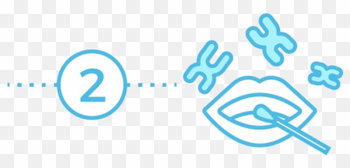 Select App U2013 Genebase - Language png