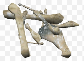Download Free Png Bones Image