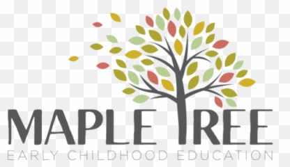 Maple Tree Education - Illustration png