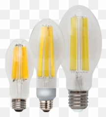 1 Led Lighting Manufacturer - Custom u0026 Bulbs Incandescent png