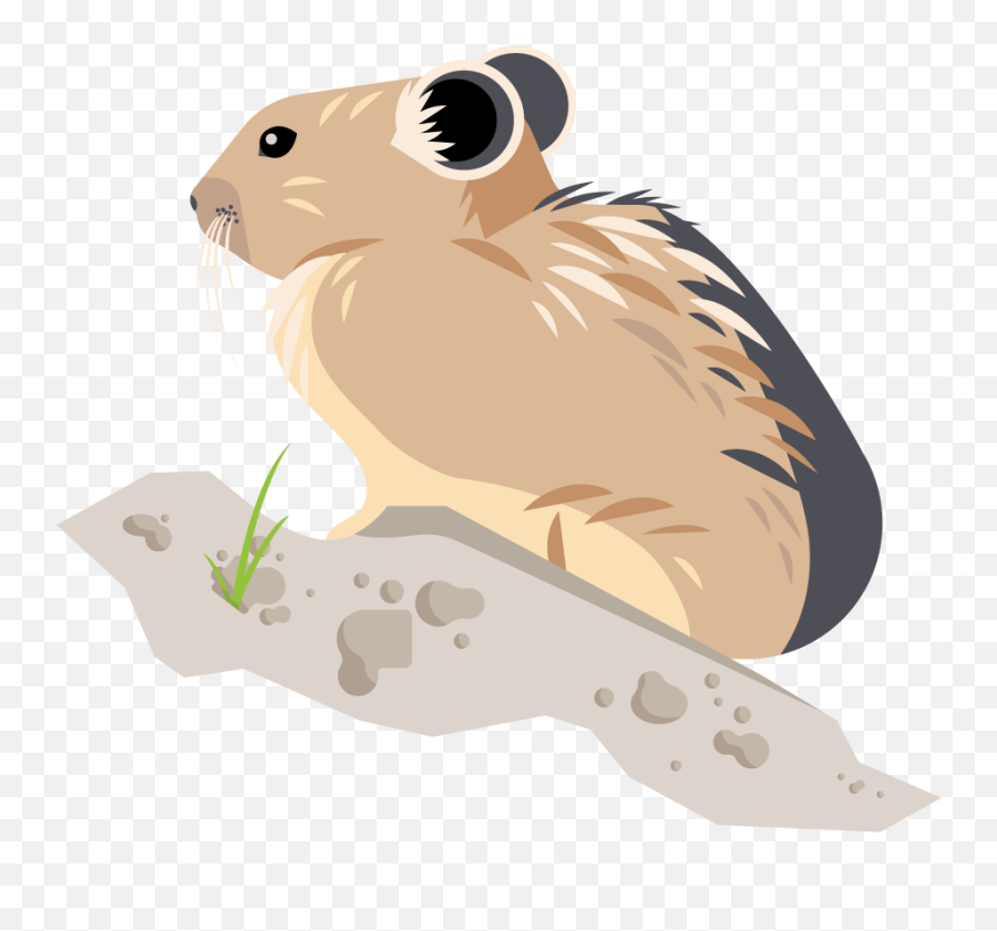 Citizen Science Icons U2014 Lauren Beltramo - Pika Clipart Png,Hamster Icon