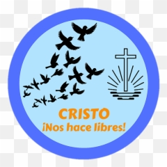 Inacolombia Colombia Iglesia Nueva Apostólica - New Apostolic Church Emblem Png,Iglesia Png
