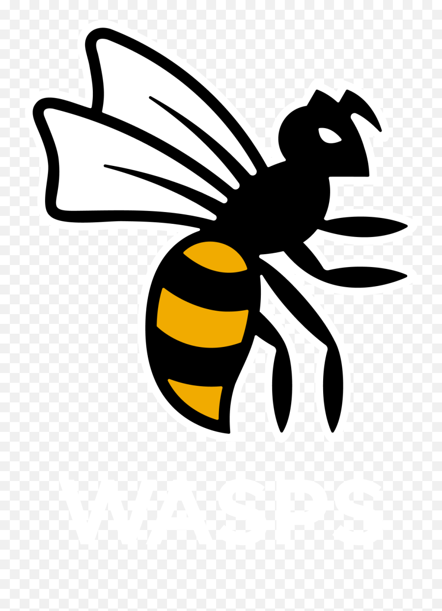 Stan Sport Schedule - Wasps Rugby Logo Png,Bee Icon League