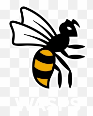 Stan Sport Schedule - Wasps Rugby Logo png