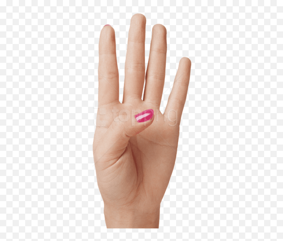 Download Hd Women Hand Showing Four Finger Png - Four Finger Four Finger Png,Foam Finger Png