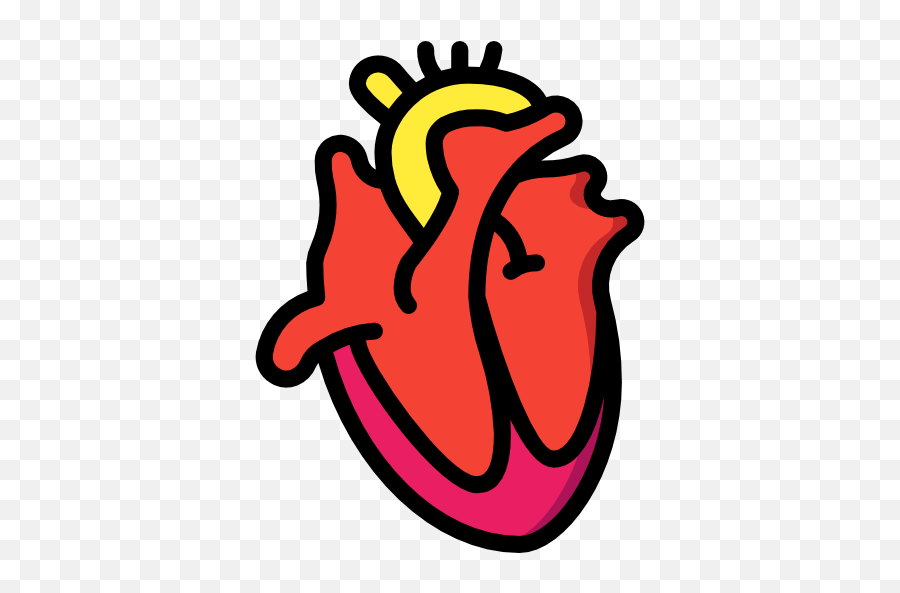 Free Icon Heart Png Organ