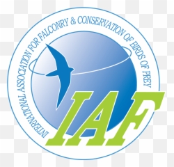 International Association For Falconry - Logo Iaf Falconry Png,Prey Logo Png