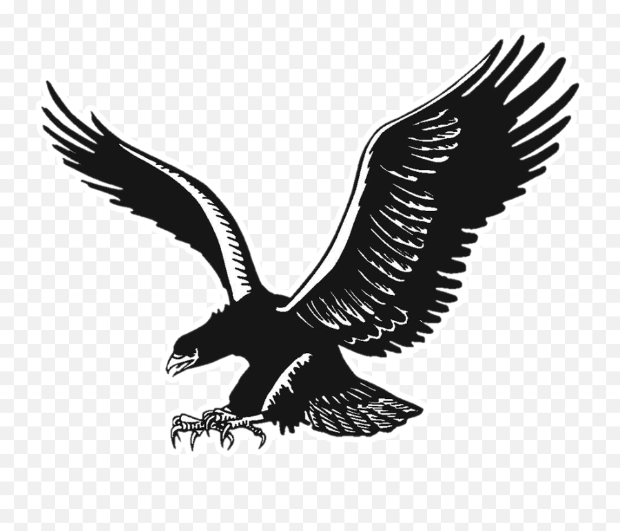 Blackhawks Png Logo 4 Image - Black And White Eagle Logo Png,Blackhawks Logo Png