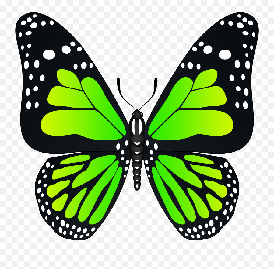 Butterfly Clipart Green Pictures Transparent PNG
