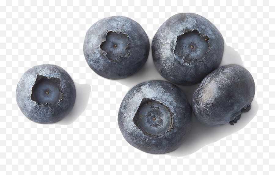 Blueberries Png File - Portable Network Graphics,Blueberries Png