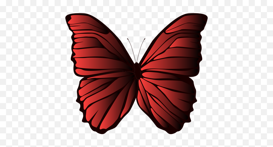 Lined Wings Butterfly - Mariposas Gif Sin Fondo Png,Butterfly Wing Png