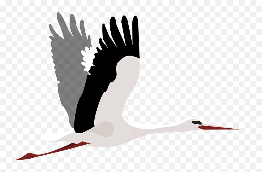 Flying Stork Clipart Free Download Transparent Png Creazilla - Flying Stork Clipart Free Png,Stork Png