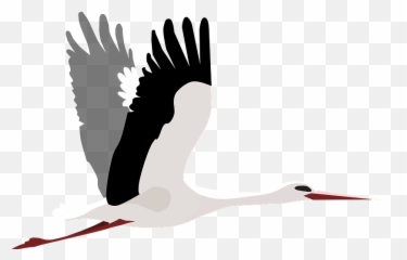 Flying Stork Clipart Free Download Transparent Png Creazilla - Flying Stork Clipart Free Png,Stork Png
