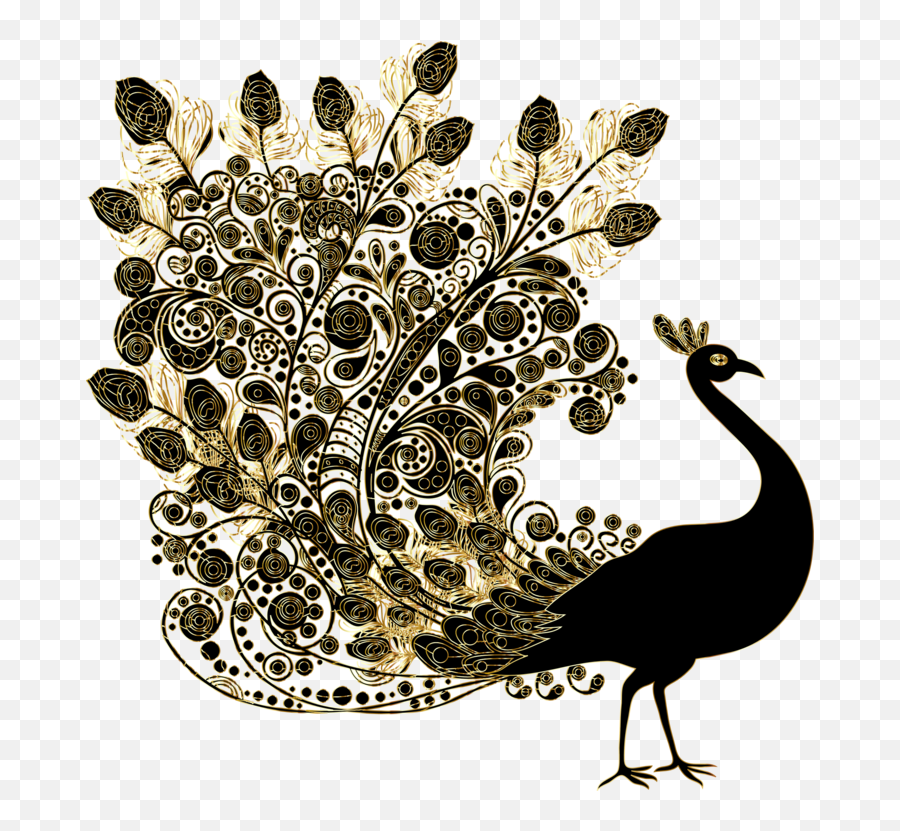 Download Hd Bird Indian Peafowl - Beautiful Peacock Peacock Design Png,Peacock Png
